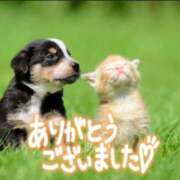 ヒメ日記 2026/06/12 09:00 投稿 あいこ モアグループ神栖人妻花壇