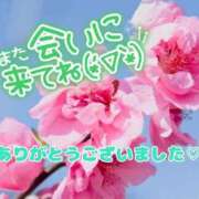 ヒメ日記 2026/06/16 14:36 投稿 あいこ モアグループ神栖人妻花壇