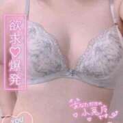 ヒメ日記 2026/06/14 17:17 投稿 わかな 太田人妻城