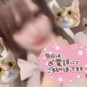 星宮 ありす 生活文化😼🤝🏻 セカンドパートナー池袋