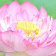 ヒメ日記 2026/06/14 16:45 投稿 さら 大宮人妻デリヘル～大人の事情～