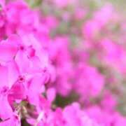 さら 🙌 大宮人妻デリヘル～大人の事情～
