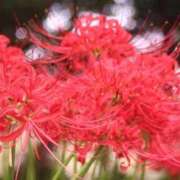 ヒメ日記 2026/08/11 11:45 投稿 さら 大宮人妻デリヘル～大人の事情～