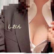 ヒメ日記 2026/06/29 09:05 投稿 汐音-しおん- 人妻倶楽部 花椿大崎店