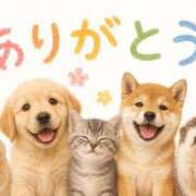 ヒメ日記 2026/07/04 08:55 投稿 汐音-しおん- 人妻倶楽部 花椿大崎店