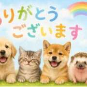 ヒメ日記 2026/07/15 08:55 投稿 汐音-しおん- 人妻倶楽部 花椿大崎店