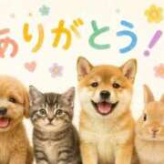 ヒメ日記 2026/08/19 18:46 投稿 汐音-しおん- 人妻倶楽部 花椿大崎店