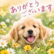 ヒメ日記 2026/09/30 08:00 投稿 汐音-しおん- 人妻倶楽部 花椿大崎店