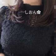 ヒメ日記 2026/10/12 09:10 投稿 汐音-しおん- 人妻倶楽部 花椿大崎店