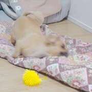 ヒメ日記 2026/06/03 21:12 投稿 さやか 人妻熟女秘密の関係　新横浜店