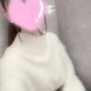 にの 猫ちゃん正義🐱 NEO不夜城