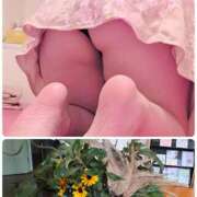 ヒメ日記 2026/06/11 16:10 投稿 こはる 横浜デビュー