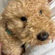 ヒメ日記 2026/10/08 17:11 投稿 優海 モアグループ大宮人妻花壇