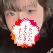 ヒメ日記 2026/08/15 09:46 投稿 あかね（欲求開放宣言） 学園天国