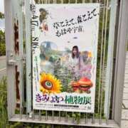 ヒメ日記 2026/06/21 21:54 投稿 咲美(えみ) PLUS難波店