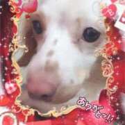 ヒメ日記 2026/06/01 21:00 投稿 めぐ 熟女総本店尼崎店