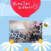 ヒメ日記 2026/06/06 08:53 投稿 めぐ 熟女総本店尼崎店