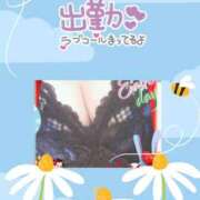 ヒメ日記 2026/06/13 09:23 投稿 めぐ 熟女総本店尼崎店