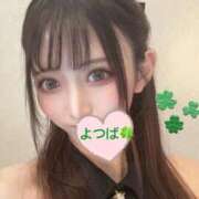 ヒメ日記 2026/05/30 14:54 投稿 四葉(よつば) 京都BOOK MARK（ブックマーク）