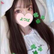 ヒメ日記 2026/05/30 16:08 投稿 四葉(よつば) 京都BOOK MARK（ブックマーク）