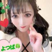 ヒメ日記 2026/05/31 07:18 投稿 四葉(よつば) 京都BOOK MARK（ブックマーク）