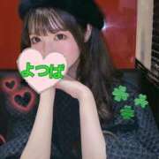 ヒメ日記 2026/06/05 08:18 投稿 四葉(よつば) 京都BOOK MARK（ブックマーク）