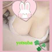 ヒメ日記 2026/06/16 15:11 投稿 四葉(よつば) 京都BOOK MARK（ブックマーク）
