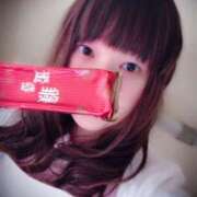 うさぎ おはようございますとお久しぶりです🐰 白いぽっちゃりさん錦糸町店