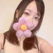 ヒメ日記 2026/07/03 16:07 投稿 うさぎ 白いぽっちゃりさん錦糸町店