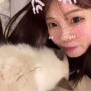 ヒメ日記 2026/06/22 19:06 投稿 ちの★性欲旺盛な変態保育士 Bell～S級美女お姉様・人妻デリヘル～