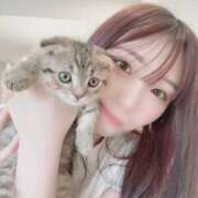 ヒメ日記 2026/08/14 21:23 投稿 ちの★性欲旺盛な変態保育士 Bell～S級美女お姉様・人妻デリヘル～