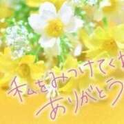 ヒメ日記 2026/07/19 19:04 投稿 みか 完熟ばなな千葉店