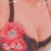 ヒメ日記 2026/08/05 10:24 投稿 美琴(みこと) PLUS難波店