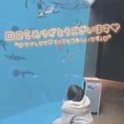 ヒメ日記 2026/06/12 10:01 投稿 ねも 栃木♂風俗の神様宇都宮店
