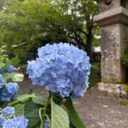 姫乃　うらら おはようございます🌱 アムアージュ