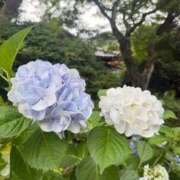 姫乃　うらら おはようございます アムアージュ