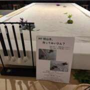 ヒメ日記 2026/07/08 09:19 投稿 といろ サティアンまーと