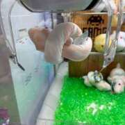 ヒメ日記 2026/06/08 15:38 投稿 まなみ 桃李（とうり）