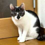 ヒメ日記 2026/08/25 13:52 投稿 まなみ 桃李（とうり）