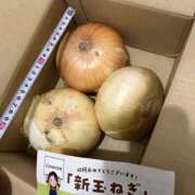 ヒメ日記 2026/06/09 17:16 投稿 ひなみ clubさくら梅田店