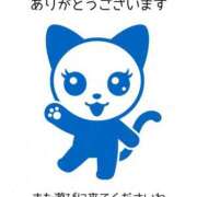 ヒメ日記 2026/06/02 22:51 投稿 水原あこ セクシーキャット 神田店