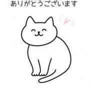 ヒメ日記 2026/06/15 23:08 投稿 水原あこ セクシーキャット 神田店