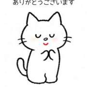 ヒメ日記 2026/06/16 23:23 投稿 水原あこ セクシーキャット 神田店