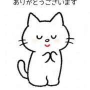 ヒメ日記 2026/06/23 23:20 投稿 水原あこ セクシーキャット 神田店
