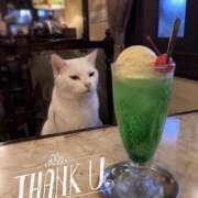 ヒメ日記 2026/07/21 22:48 投稿 水原あこ セクシーキャット 神田店