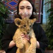 ヒメ日記 2026/08/10 12:03 投稿 水原あこ セクシーキャット 神田店