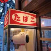 ヒメ日記 2026/10/16 12:04 投稿 水原あこ セクシーキャット 神田店