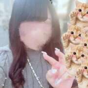 ヒメ日記 2026/07/13 12:34 投稿 うみ ロード