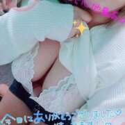 ヒメ日記 2026/07/14 21:58 投稿 サリナ(奥方) 奥様幕府