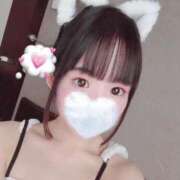 かるあ しゅっきん！ 秋葉原コスプレ学園(AKG)